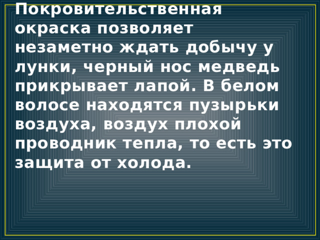 Покровительственная окраска позволяет незаметно ждать добычу у лунки, черный нос медведь прикрывает лапой. В белом волосе находятся пузырьки воздуха, воздух плохой проводник тепла, то есть это защита от холода. 