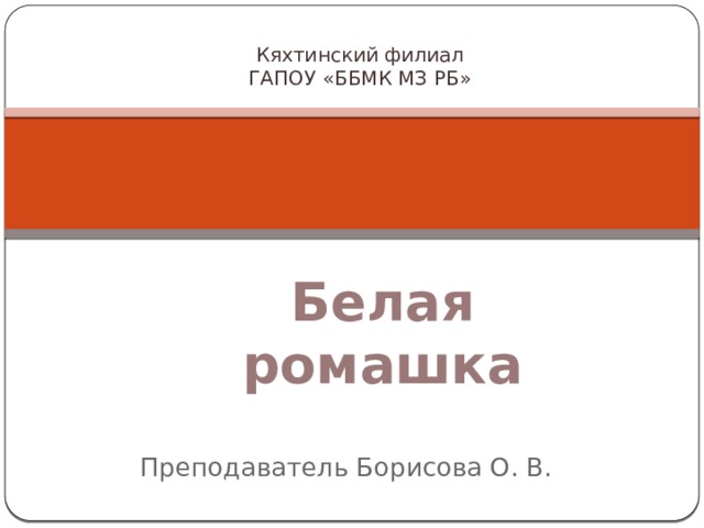 Кяхтинский филиал  ГАПОУ «ББМК МЗ РБ» Белая ромашка Преподаватель Борисова О. В. 