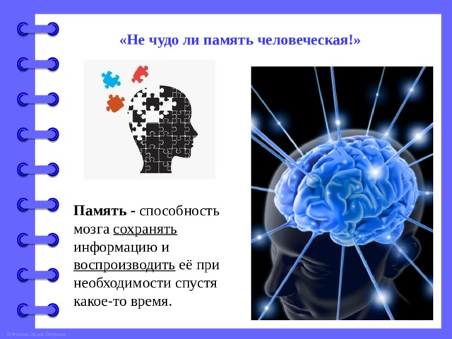 «Не чудо ли память человеческая!» Память - способность мозга сохранять информацию и воспроизводить её при необходимости спустя какое-то время. 