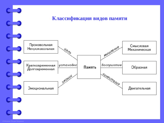 Классификация видов памяти 