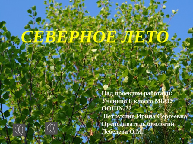 СЕВЕРНОЕ ЛЕТО Над проектом работали: Ученица 8 класса МБОУ ООШ№22  Петрухина Ирина Сергеевна Преподаватель биологии Лебедева О.М. 