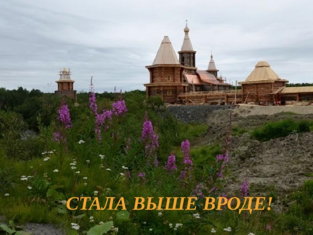 Стала выше вроде! 