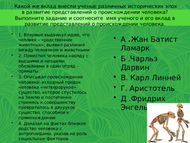 Родство человека с млекопитающими животными. Доказательства родства человека с животными. Доказательства родства человека с млекопитающими животными кратко.