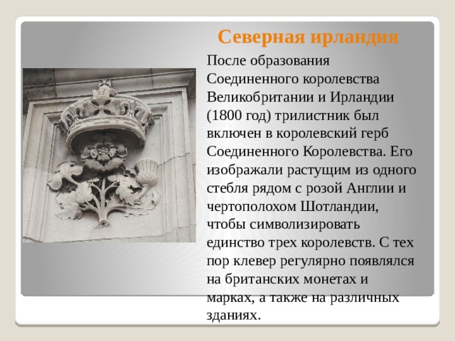 Северная ирландия После образования Соединенного королевства Великобритании и Ирландии (1800 год) трилистник был включен в королевский герб Соединенного Королевства. Его изображали растущим из одного стебля рядом с розой Англии и чертополохом Шотландии, чтобы символизировать единство трех королевств. С тех пор клевер регулярно появлялся на британских монетах и марках, а также на различных зданиях.