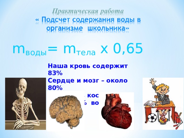 m воды = m тела х 0,65 Наша кровь содержит 83% Сердце и мозг – около 80% И даже в костях – 15 – 20% воды. 