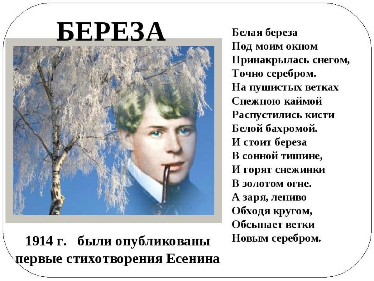 Песня о березке слова с есенина. Есенин с.а. "стихотворения". Хи Есенина.