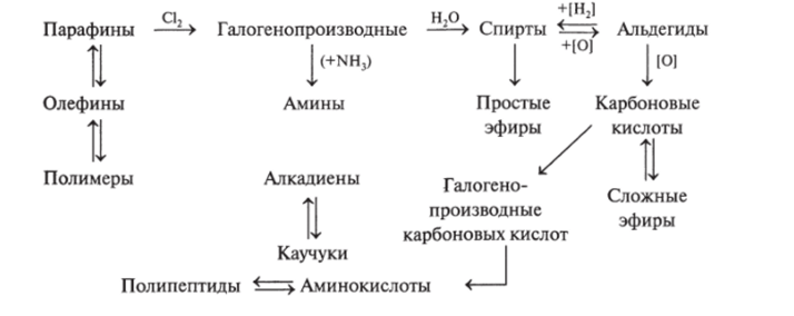 Схема превращений органических веществ