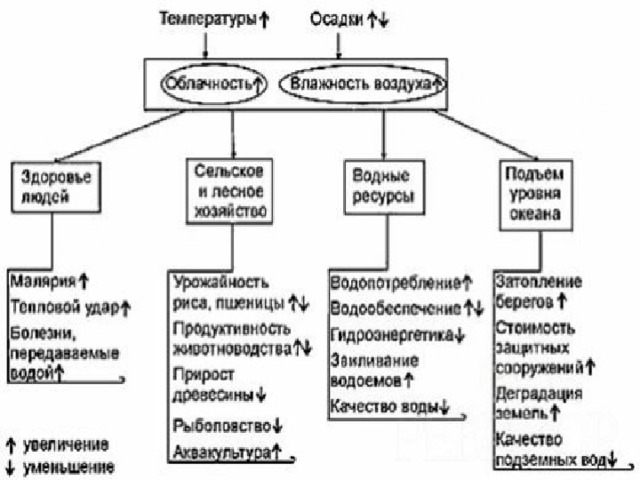 Урок биологии в 11 классе по теме "Главные направления эволюции органического ми