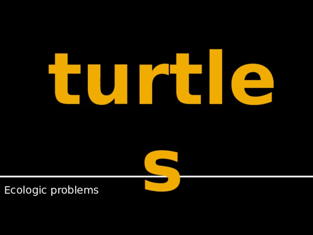 turtles Ecologic problems 