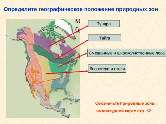 На карте стрелками обозначены природные зоны. Северная Америка карта обозначениями природных зон. Природные зоны Северной Америки тест. Природные зоны Южной Америки 7 класс таблица. Тест природные зоны Северной Америки 7 класс.