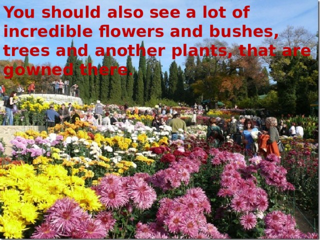 You should also see a lot of incredible flowers and bushes, trees and another plants, that are gowned there . 