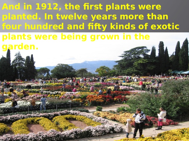 And in 1912, the first plants were planted. In twelve years more than four hundred and fifty kinds of exotic plants were being grown in the garden. 