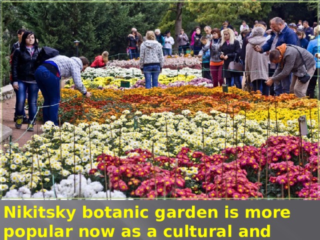 Nikitsky botanic garden is more popular now as a cultural and entertaining centre. 