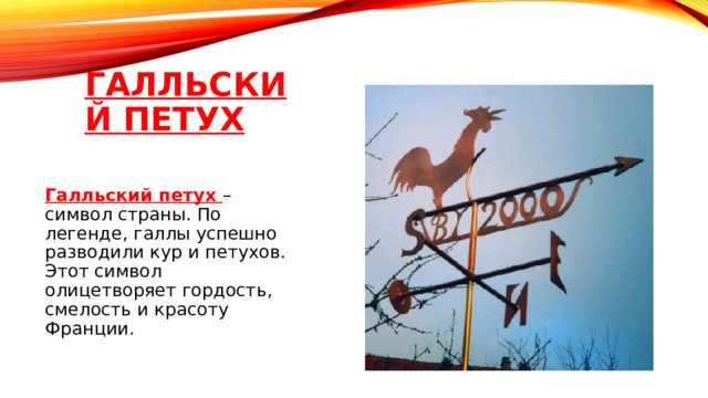 Петух галльский символ. Галльский петух символ. Галльский петух символ Франции. Галльский петух символ страны. Галльский петух символ Франции история.