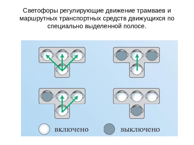 Светофоры регулирующие движение трамваев и маршрутных транспортных средств движущихся по специально выделенной полосе. 