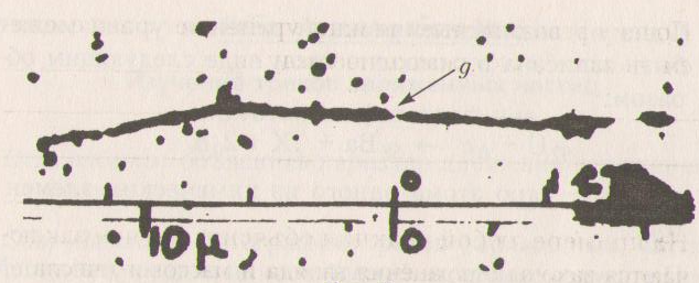 Рассмотрите фотографию и найдите треки осколков измерьте длины треков осколков с помощью