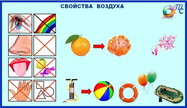 Карточки Схемы Проведения Опытов И Эксперементов