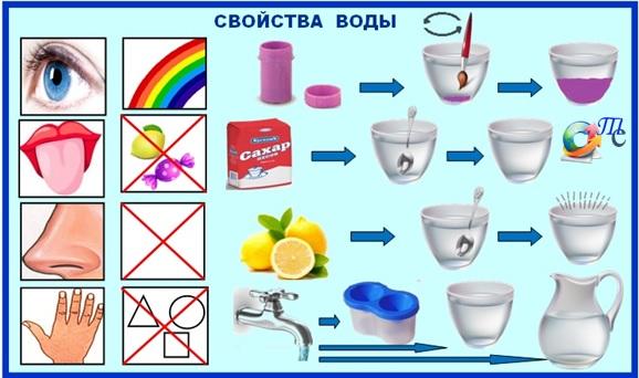 Карточки схемы и алгоритмы опытов в детском саду