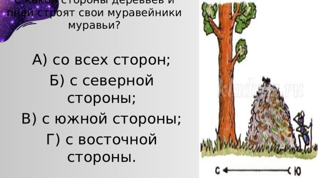 С какой стороны деревьев и пней строят свои муравейники муравьи? А) со всех сторон; Б) с северной стороны; В) с южной стороны; Г) с восточной стороны. 