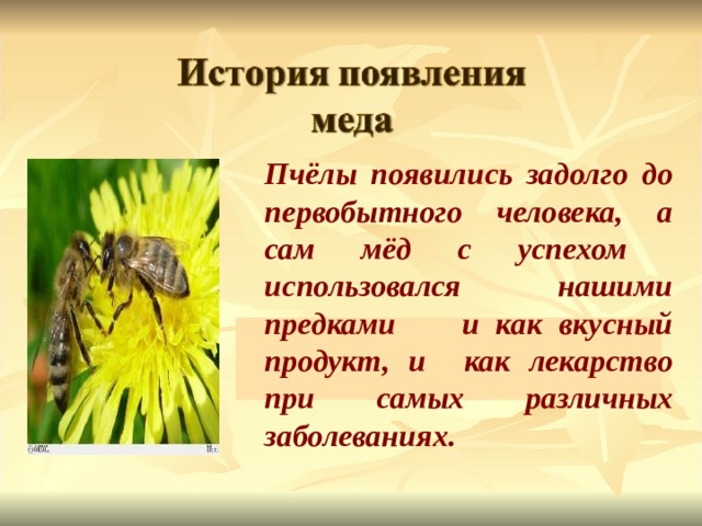  Пчёлы появились задолго до первобытного человека, а сам мёд с успехом использовался нашими предками и как вкусный продукт, и как лекарство при самых различных заболеваниях. 