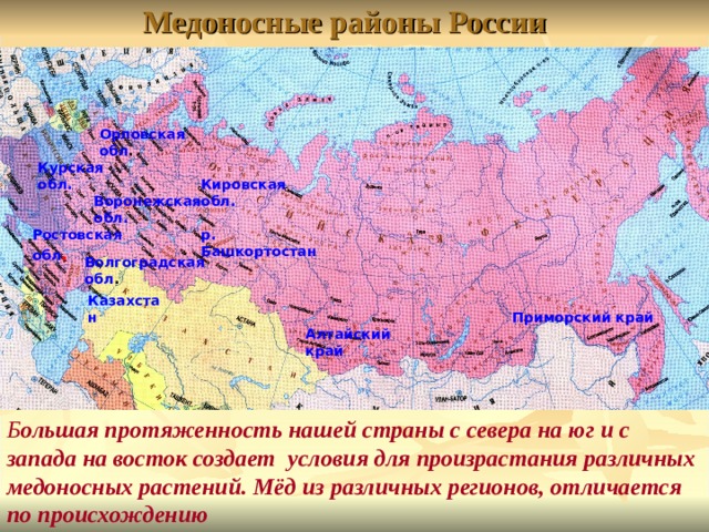 Медоносные районы России Орловская  обл . Курская обл. Кировская обл. Воронежская обл. Ростовская  обл . р. Башкортостан Волгоградская  обл . Казахстан Приморский  край Алтайский  край Б ольшая протяженность нашей страны с севера на юг и с запада на восток создает условия для произрастания различных медоносных растений. Мёд из различных регионов, отличается по происхождению 