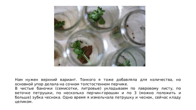 Нам нужен верхний вариант. Тонкого я тоже добавляла для количества, но основной упор делала на сочном толстостенном перчике. В чистые баночки (семисотки, литровые) укладываем по лавровому листу, по веточке петрушки, по несколько перчин-горошин и по 3 (можно положить и больше) зубка чеснока. Одно время я измельчала петрушку и чеснок, сейчас кладу целиком. 