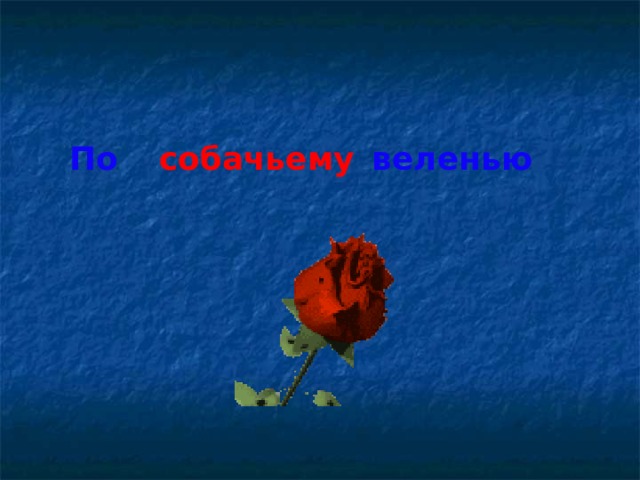 По собачьему веленью щучьему  