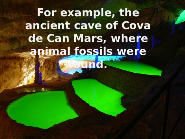For example, the ancient cave of Cova de Can Mars, where animal fossils were found. 