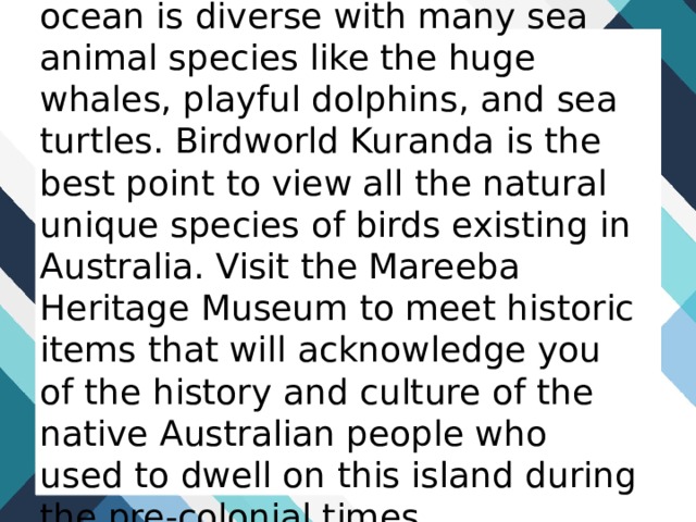 The marine environment in the ocean is diverse with many sea animal species like the huge whales, playful dolphins, and sea turtles. Birdworld Kuranda is the best point to view all the natural unique species of birds existing in Australia. Visit the Mareeba Heritage Museum to meet historic items that will acknowledge you of the history and culture of the native Australian people who used to dwell on this island during the pre-colonial times. 