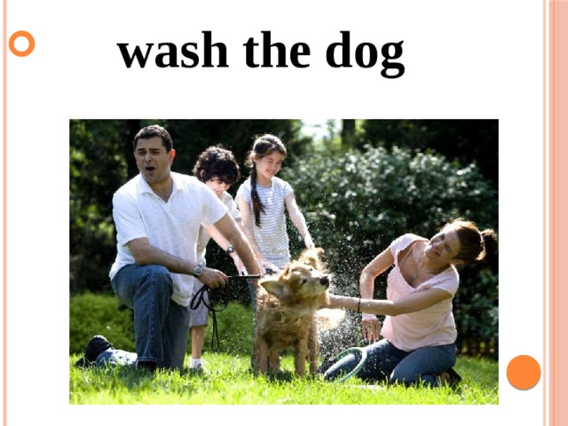  wash the dog 