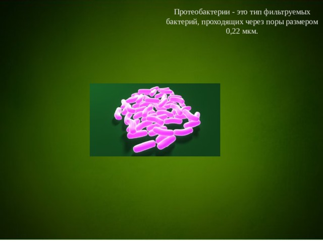 Протеобактерии - это тип фильтруемых бактерий, проходящих через поры размером 0,22 мкм. 
