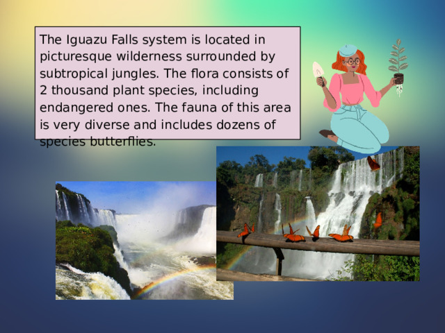 The Iguazu Falls system is located in picturesque wilderness surrounded by subtropical jungles. The flora consists of 2 thousand plant species, including endangered ones. The fauna of this area is very diverse and includes dozens of species butterflies. 