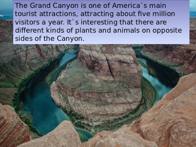 The Grand Canyon is one of America`s main tourist attractions, attracting about five million visitors a year. It`s interesting that there are different kinds of plants and animals on opposite sides of the Canyon. 