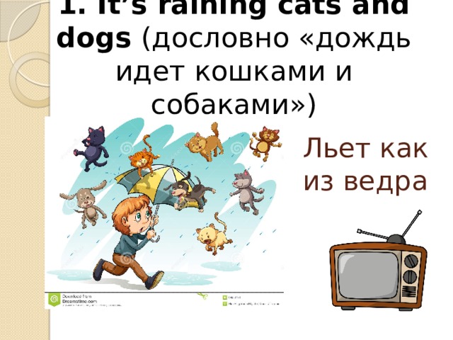1. It’s raining cats and dogs (дословно «дождь идет кошками и собаками») Льет как из ведра 