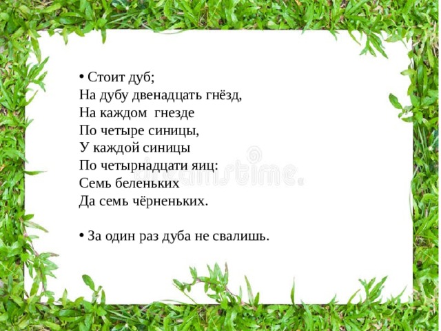 В дубу двенадцать гнезд в каждом. На дубу двенадцать гнезд. Стоит дуб на дубу двенадцать гнезд на каждом гнезде по четыре синицы. На дубу двенадцать гнезд загадка. В дубу двенадцать гнезд в каждом гнезде по четыре синицы.