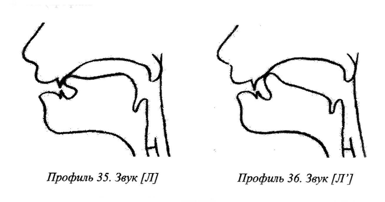 Артикуляция звука л картинка
