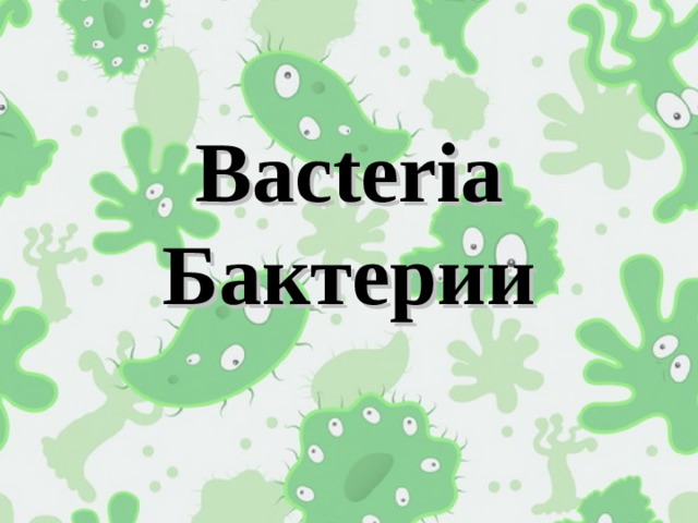 Bacteria  Бактерии 