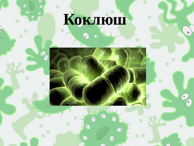 Коклюш 