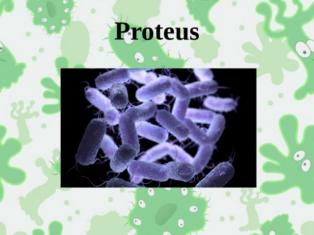 Proteus 