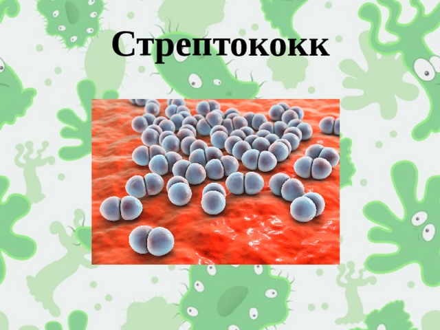 Стрептококк 