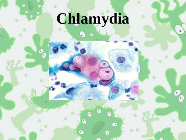 Chlamydia 