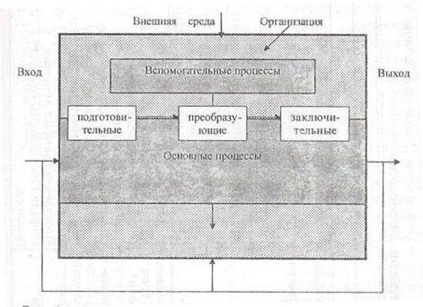 Схема каких процессов 1 3 изображена на рисунке какова их биологическая роль