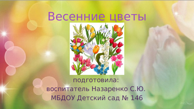 Весенние цветы подготовила: воспитатель Назаренко С.Ю. МБДОУ Детский сад № 146 