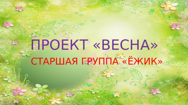 Мини проект весна