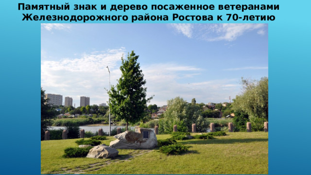 Памятный знак и дерево посаженное ветеранами Железнодорожного района Ростова к 70-летию Победы в ВОВ 