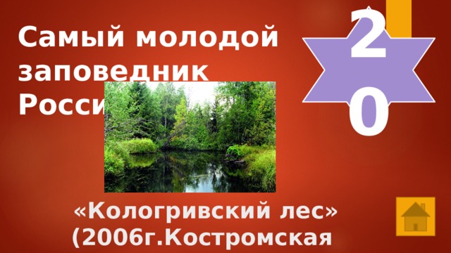 20 Самый молодой заповедник России?      «Кологривский лес» (2006г.Костромская область) 