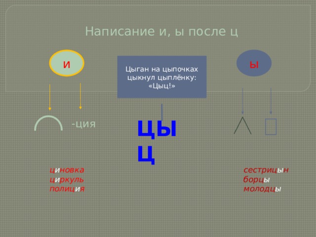 Правило цыц цыган на цыпочках. Цыган на цыпочках цыпленку цыкнул цыц. Цыган на цыпочках цыпленку цыкнул цыц правило. Цыган на цыпочках подошёл к цыплёнку и цыкнул цыц правило. Цыкнуть или цикнуть.