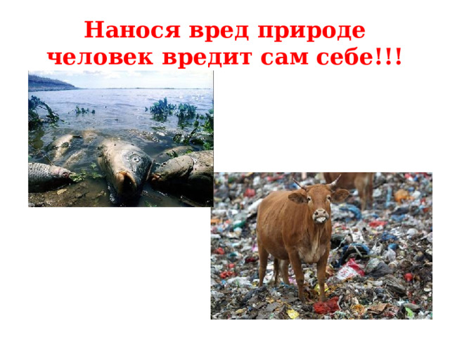 Охрана природы охрана человека