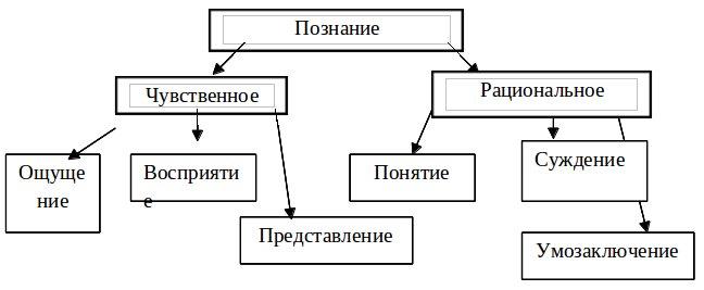 Обществознание 7 класс в схемах и таблицах