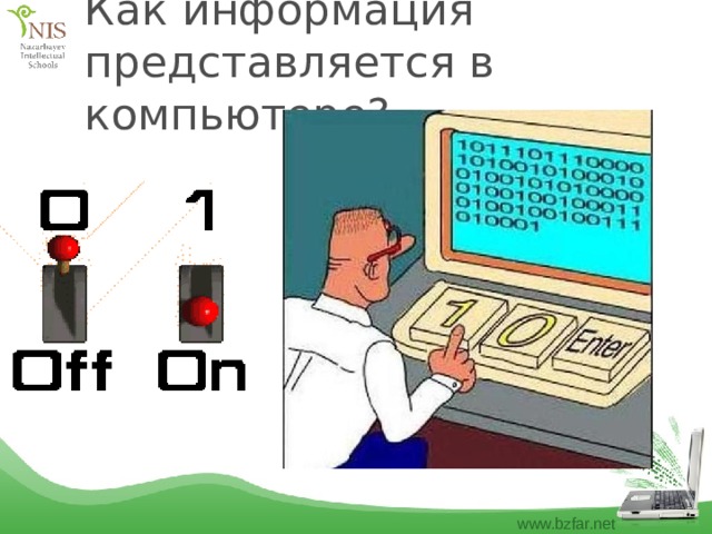 Как информация представляется в компьютере? 